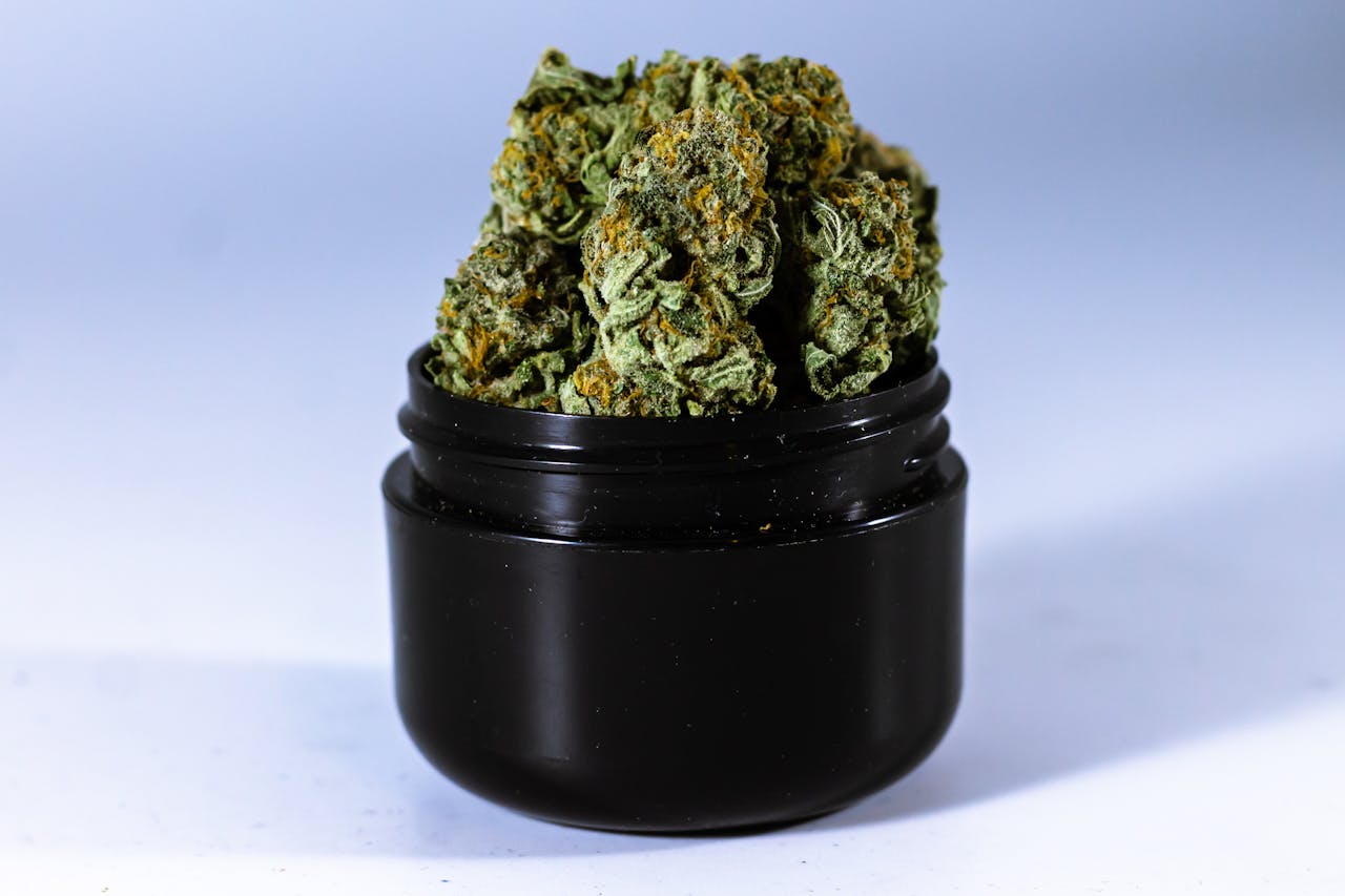 High-quality image of green cannabis buds in a black container against a neutral background.